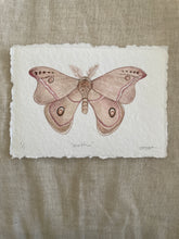 Load image into Gallery viewer, Moth 2