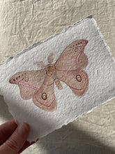 Load image into Gallery viewer, Moth 2
