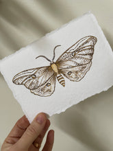 Load image into Gallery viewer, Moth 1