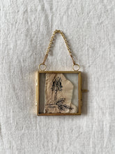 Load image into Gallery viewer, Sturt Desert Pea | Paperbark