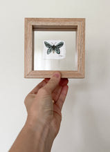 Load image into Gallery viewer, Birdwing Butterfly