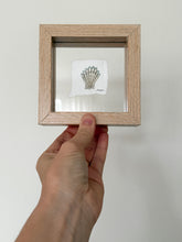 Load image into Gallery viewer, Cat Paw Shell