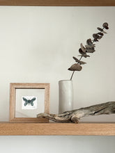 Load image into Gallery viewer, Birdwing Butterfly