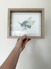 Load image into Gallery viewer, Cuckoo Bee