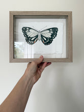 Load image into Gallery viewer, Caper White Butterfly