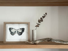 Load image into Gallery viewer, Caper White Butterfly