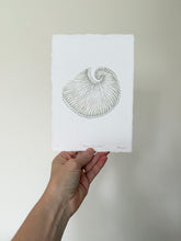 Load image into Gallery viewer, Paper Nautilus