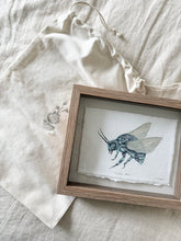 Load image into Gallery viewer, Moth
