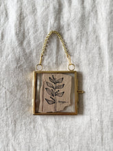 Load image into Gallery viewer, Witchety Bush | Paperbark