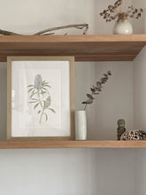 Load image into Gallery viewer, Banksia Plagiocarpa