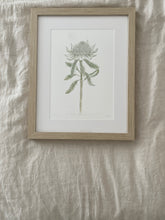 Load image into Gallery viewer, Telopea Speciosissima