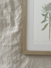 Load image into Gallery viewer, Telopea Speciosissima