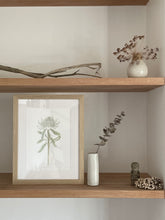 Load image into Gallery viewer, Telopea Speciosissima