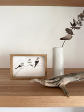 Load image into Gallery viewer, Double Barred Finches