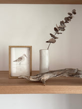 Load image into Gallery viewer, Curlew Sandpiper