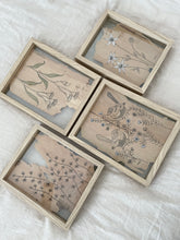 Load image into Gallery viewer, BENITA - Fairy Wren on Wax Flower | Paperbark