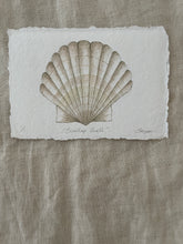 Load image into Gallery viewer, Scallop Shell