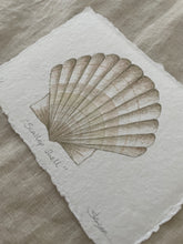 Load image into Gallery viewer, Scallop Shell