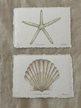 Load image into Gallery viewer, Sea Star