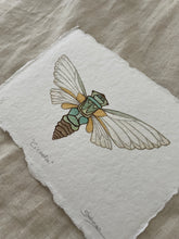 Load image into Gallery viewer, Cicada