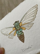 Load image into Gallery viewer, Cicada