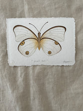 Load image into Gallery viewer, Pearl Owl Butterfly