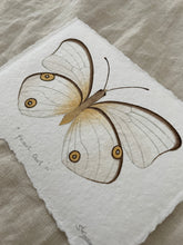 Load image into Gallery viewer, Pearl Owl Butterfly