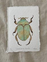 Load image into Gallery viewer, Christmas Beetle