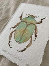 Load image into Gallery viewer, Christmas Beetle