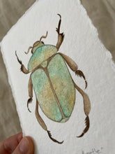 Load image into Gallery viewer, Christmas Beetle
