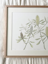 Load image into Gallery viewer, Banksia Integrifolia | Framed Limited Edition