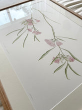 Load image into Gallery viewer, Eucalyptus Synandra