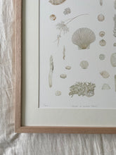 Load image into Gallery viewer, Ghosts of Mother Ocean | Framed Limited Edition