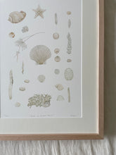 Load image into Gallery viewer, Ghosts of Mother Ocean