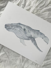 Load image into Gallery viewer, Henry the Humpback