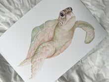 Load image into Gallery viewer, Mirakye the Green Sea Turtle