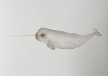 Load image into Gallery viewer, Nip the Narwhal
