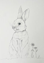 Load image into Gallery viewer, In the Meadow