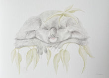Load image into Gallery viewer, Rodney the Koala