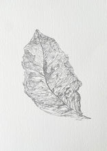 Load image into Gallery viewer, Veins of Life