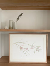 Load image into Gallery viewer, Eucalyptus Synandra | Framed Limited Edition