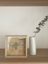 Load image into Gallery viewer, Cicada | Paperbark