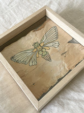 Load image into Gallery viewer, Cicada | Paperbark
