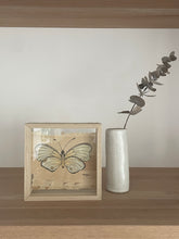 Load image into Gallery viewer, Pearly Owl Butterfly | Paperbark