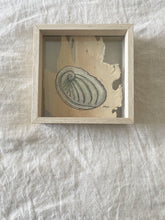 Load image into Gallery viewer, Abalone Shell | Paperbark