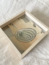 Load image into Gallery viewer, Abalone Shell | Paperbark