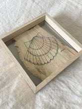 Load image into Gallery viewer, Scallop Shell | Paperbark