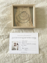 Load image into Gallery viewer, Scallop Shell | Paperbark