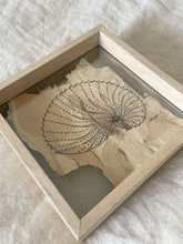 Load image into Gallery viewer, Paper Nautilus | Paperbark