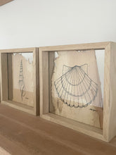 Load image into Gallery viewer, Scallop Shell | Paperbark